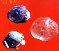 寬能法師捨利