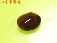 佛陀真身血捨利