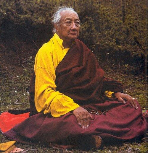 夢幻之旅神奇緣-----關於佐欽欽哲仁波切(14) 夢幻之旅神奇緣-----關於佐欽欽哲仁波切(14)